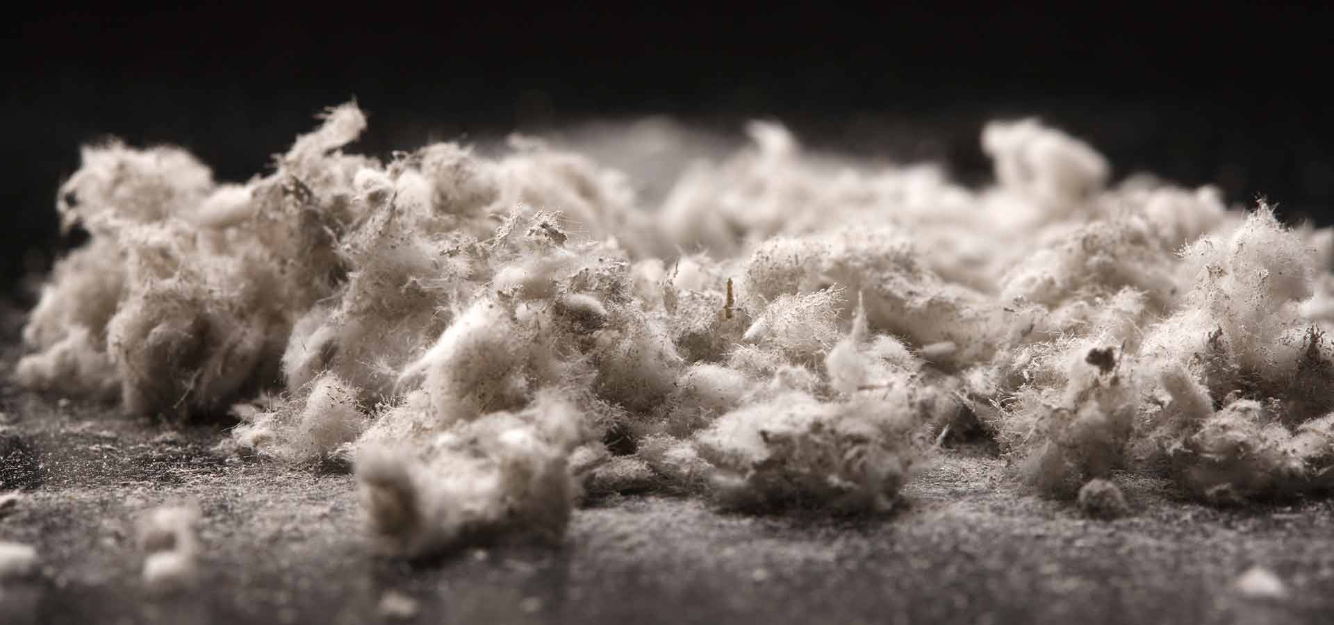Are you aware of the danger of asbestos?